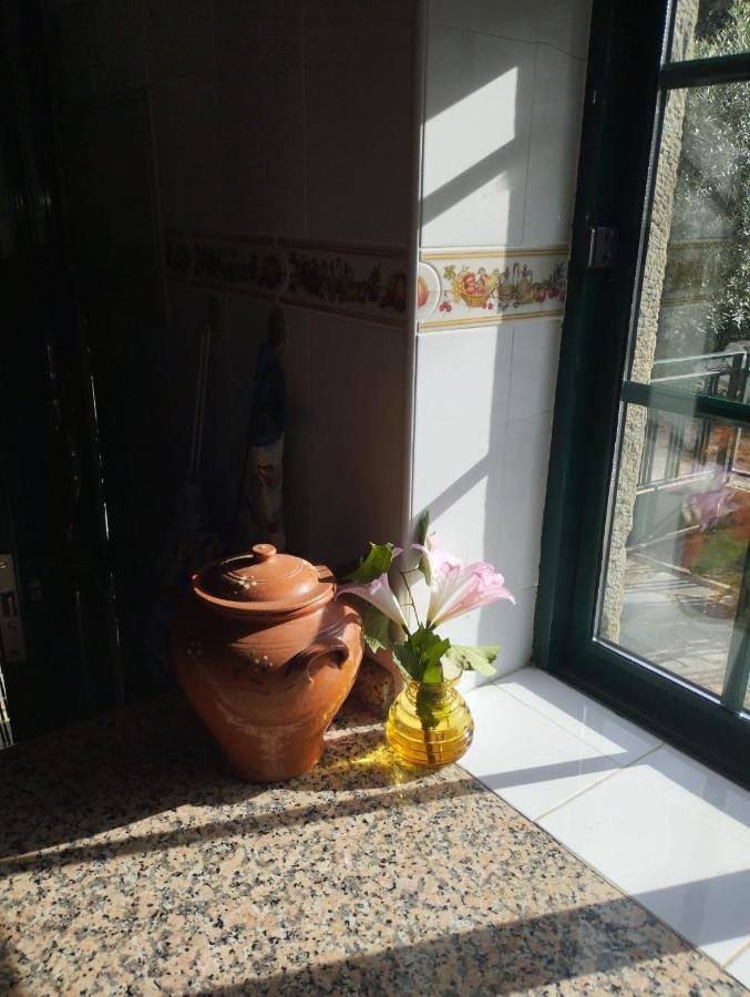 Casa Penafalcao Castelo Branco  Eksteriør billede