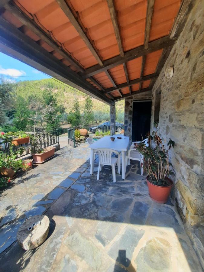 Casa Penafalcao Castelo Branco  Eksteriør billede